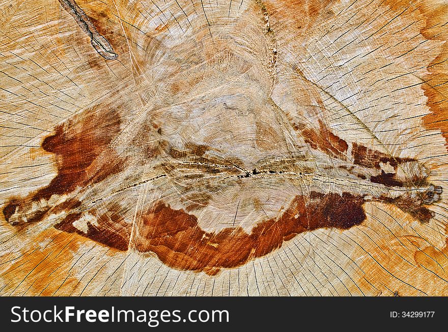 Abstract background of a wet sliced timber