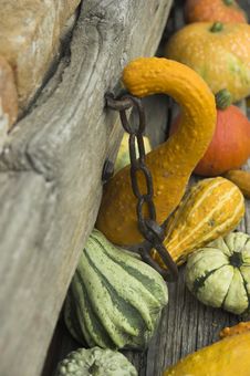 Pumpkins Stock Images Pumpkins Stock Images