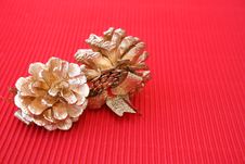Pine Cones Stock Photo Pine Cones Stock Photo