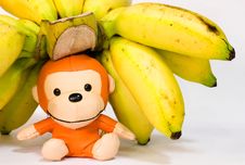 Still Life (Bananas) Stock Photography Still Life (Bananas) Stock Photography