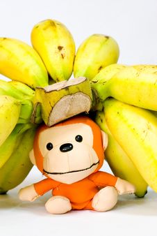 Still Life (Bananas) Royalty Free Stock Image Still Life (Bananas) Royalty Free Stock Image