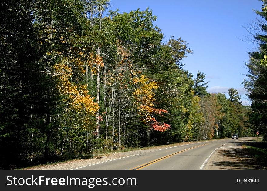 Drive through colorful trees during autumn time. Drive through colorful trees during autumn time