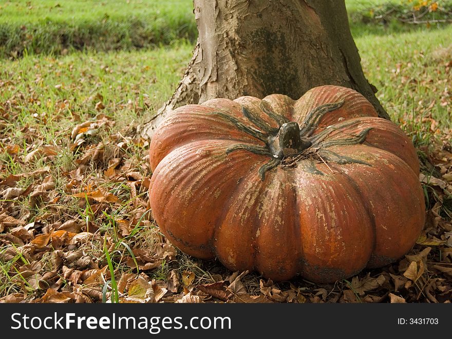 Very Large Autum Pumpkin