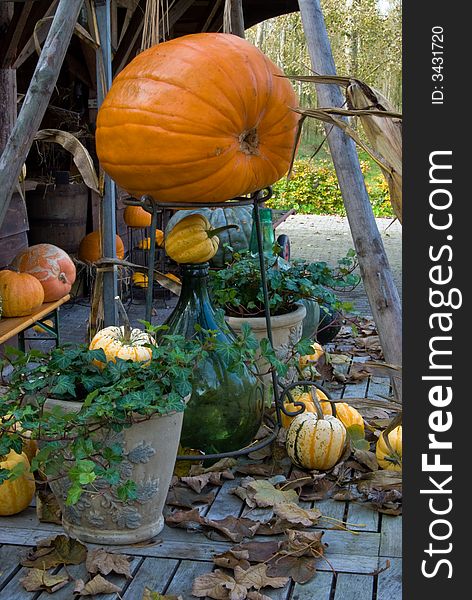 Autum (fall) Pumpkin decoration outdoor. Autum (fall) Pumpkin decoration outdoor