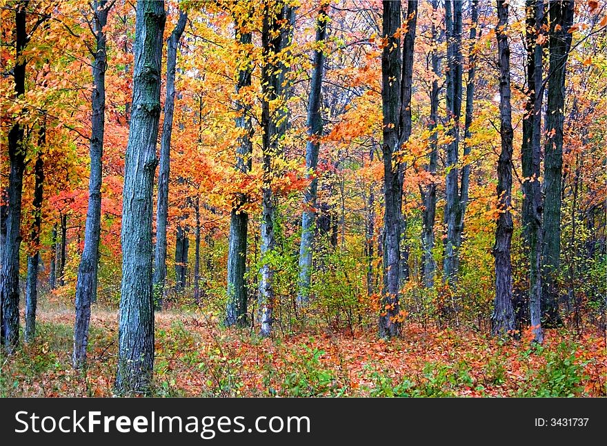 Autumn landscape view in michigan upper peninsula. Autumn landscape view in michigan upper peninsula