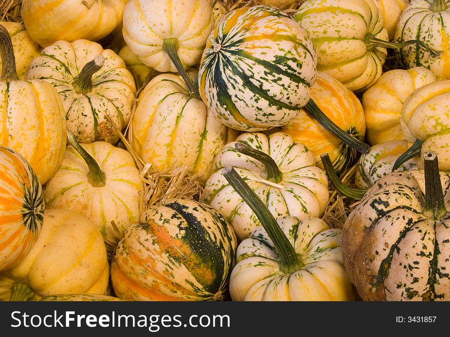 Autum Pumpkins can be used as Background. Autum Pumpkins can be used as Background