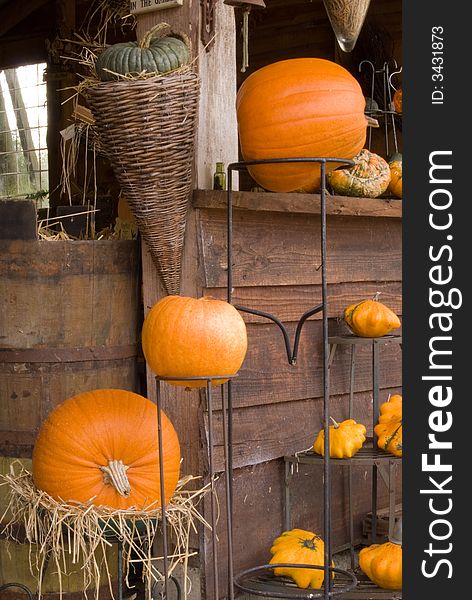 Autum (fall,thanksgiving) Pumpkin decoration. Autum (fall,thanksgiving) Pumpkin decoration