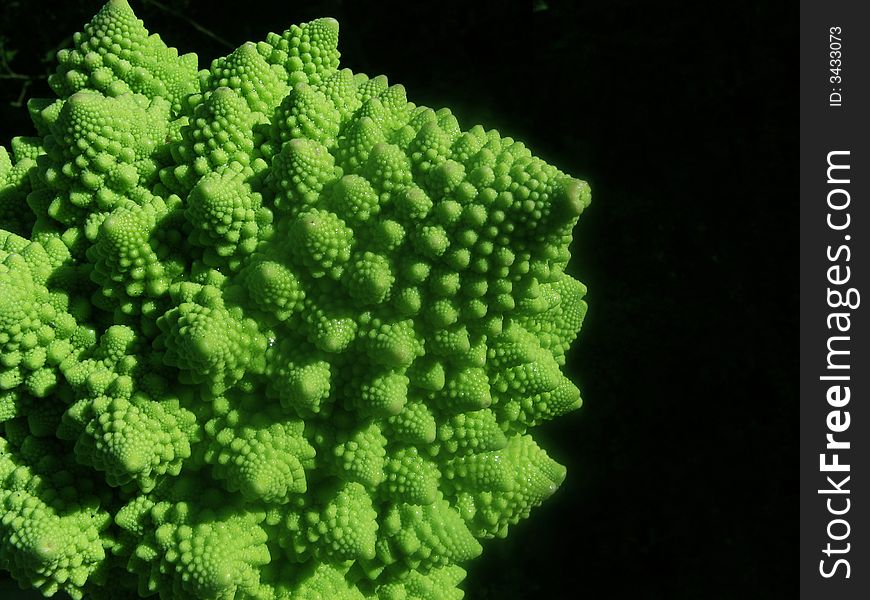 A green cabbage with a nice pattern,against  a black background