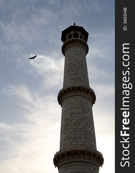 Tower in Taj Mahal / Agra India