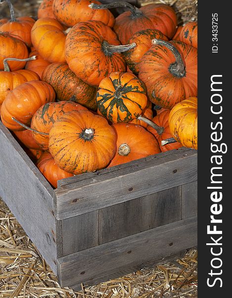 A bunch of small pumpkins in a wood crate