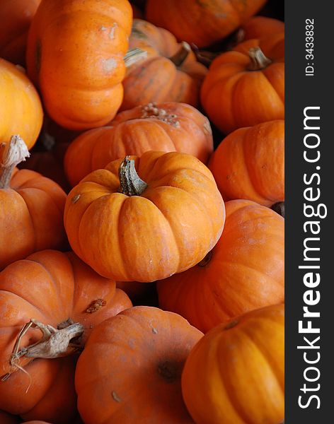 Pile of freshly harvested mini orange pumpkins from a local farm in fall. Pile of freshly harvested mini orange pumpkins from a local farm in fall.