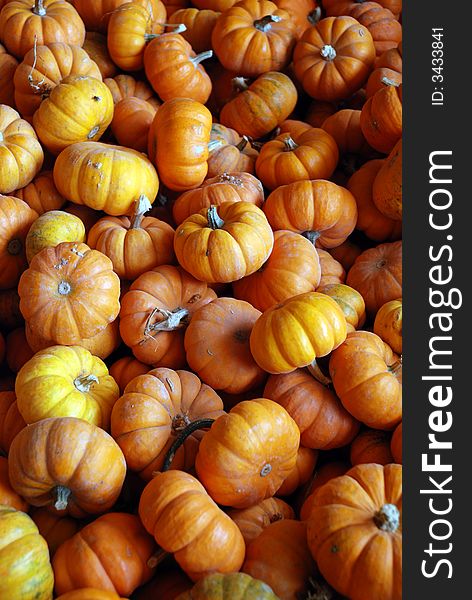 A huge pile of healthy, tiny, orange pumpkins, freshly picked at a local farm in fall. A huge pile of healthy, tiny, orange pumpkins, freshly picked at a local farm in fall.