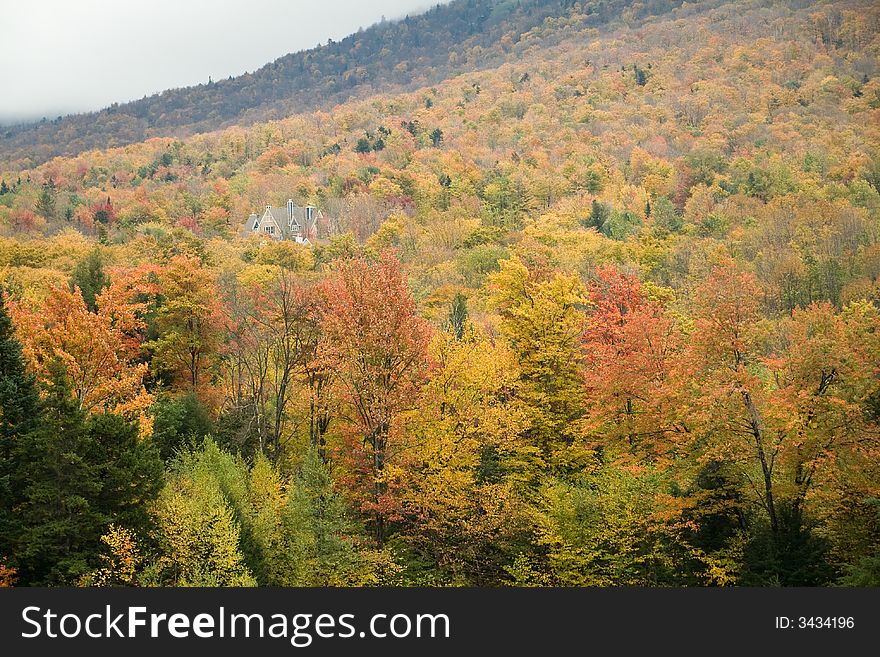 A house is barely visible over the brightly colored trees on a mountainside. A house is barely visible over the brightly colored trees on a mountainside
