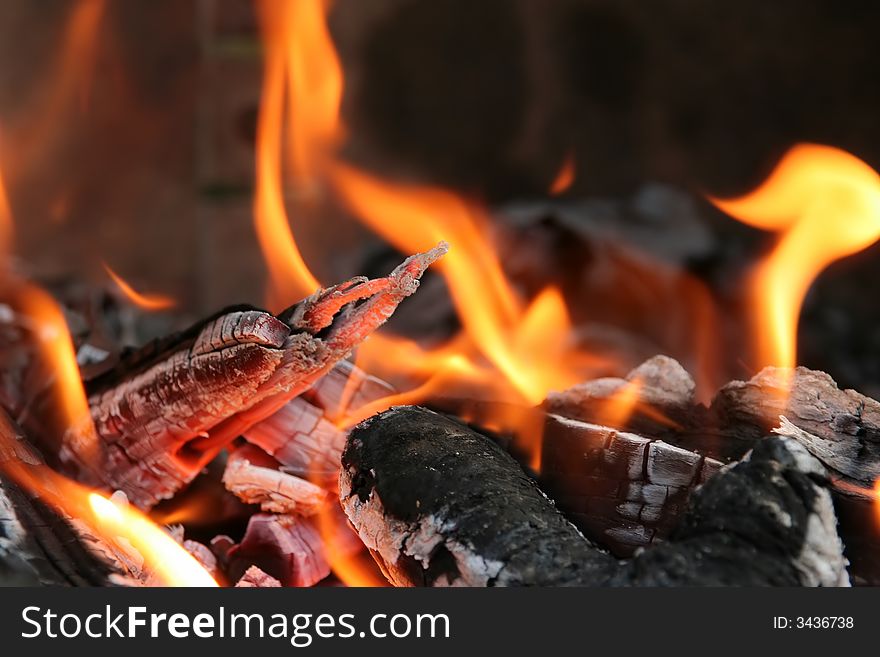 Close up of burning fire with flames