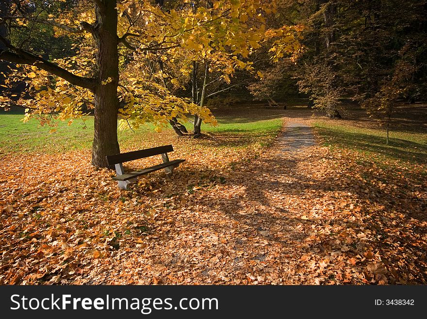 Autumn Landscape In The Park. Autumn Landscape In The Park