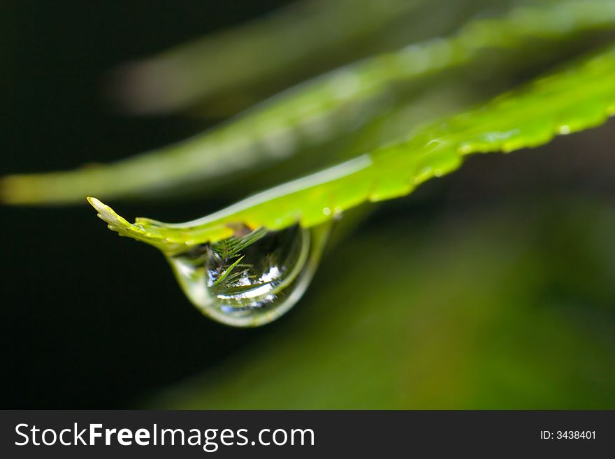 A Close-Up View Of A Raindrop. A Close-Up View Of A Raindrop
