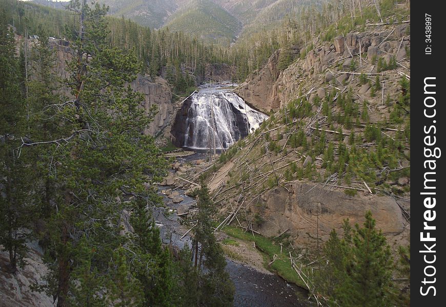 Gibbon Falls is the waterfall in Yellowstone National Park.