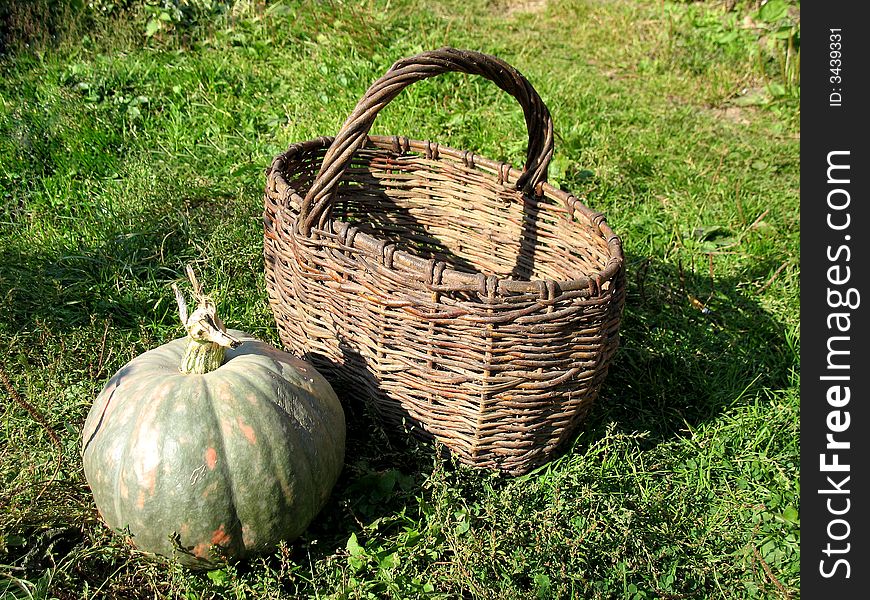 There is one green pumpkin and an old-fashioned brown basket on the grass. There is one green pumpkin and an old-fashioned brown basket on the grass