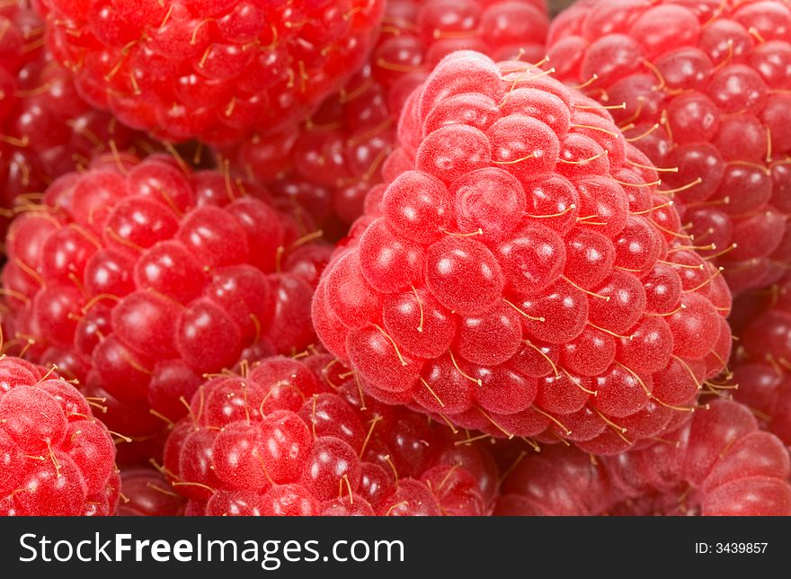 Fresh Raspberry Background