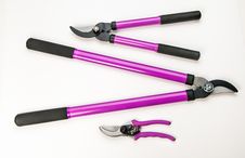 Tree Pruning Tools Stock Images Tree Pruning Tools Stock Images