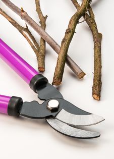 Tree Pruning Tools Royalty Free Stock Image Tree Pruning Tools Royalty Free Stock Image