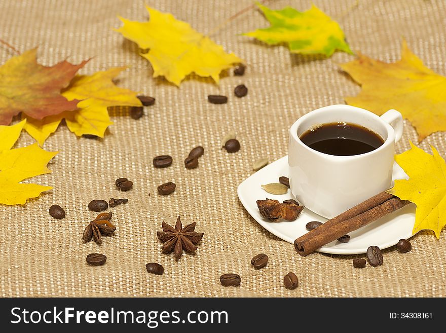 Autumn Cup Of Coffee