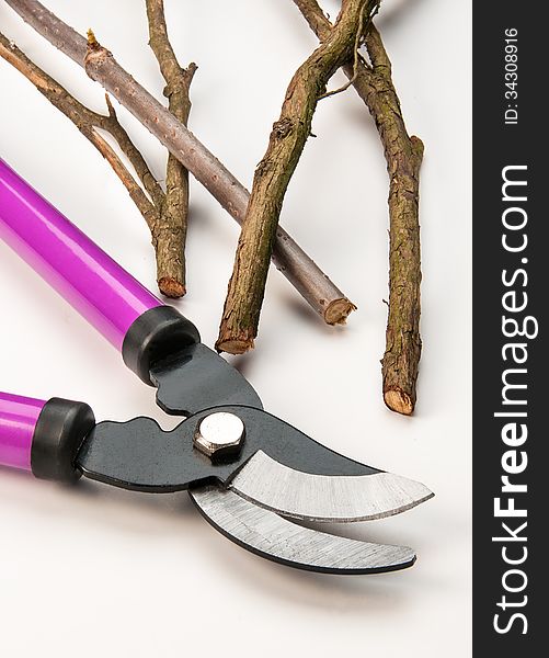 Tree Pruning Tools