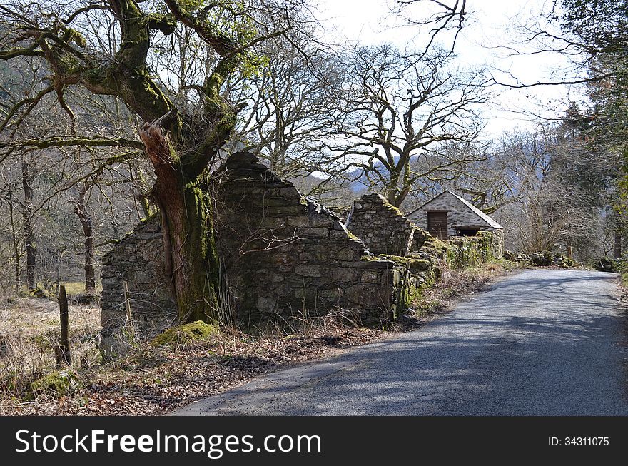 A ruin of a house in Wales, covered in moss. A ruin of a house in Wales, covered in moss