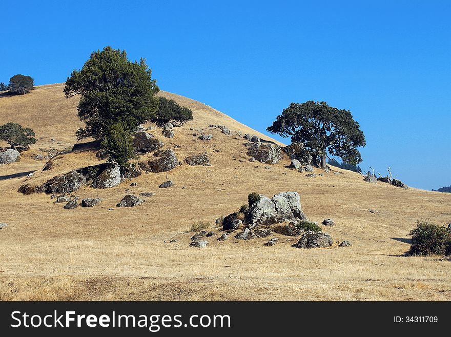 Northern California Landscape