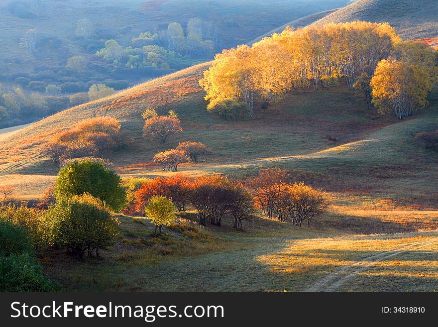 Dam is a golden autumn in Inner Mongolia, which is a very beautiful scenery, it is also a harvest season. Dam is a golden autumn in Inner Mongolia, which is a very beautiful scenery, it is also a harvest season.