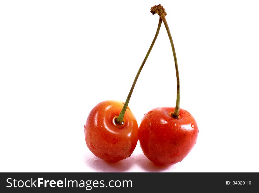 Two connected cherries with drops of dew