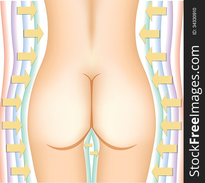 Weight losing and geting fit illustration