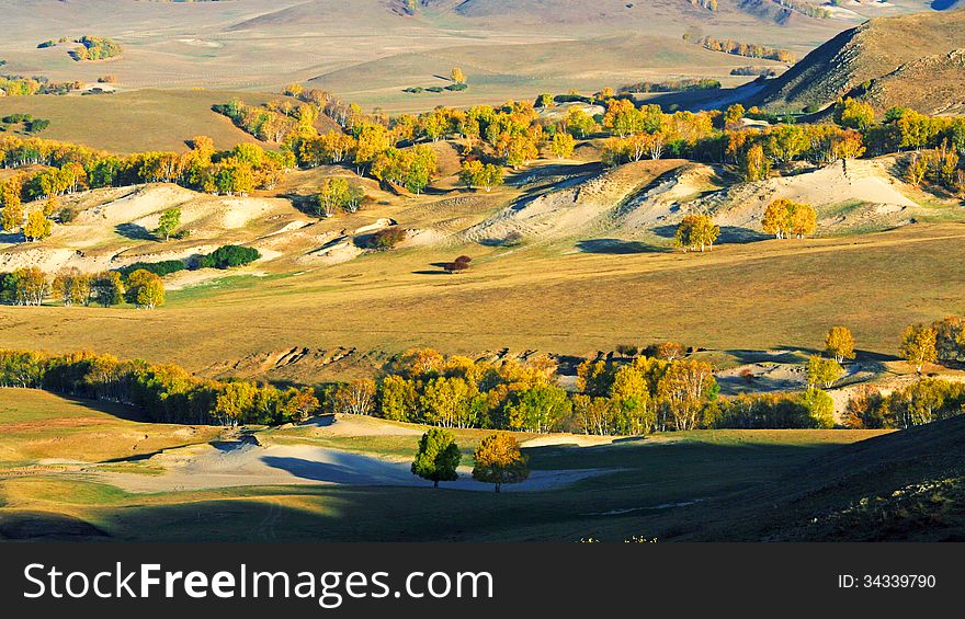 Dam is a golden autumn in Inner Mongolia, which is a very beautiful scenery, it is also a harvest season. Dam is a golden autumn in Inner Mongolia, which is a very beautiful scenery, it is also a harvest season.