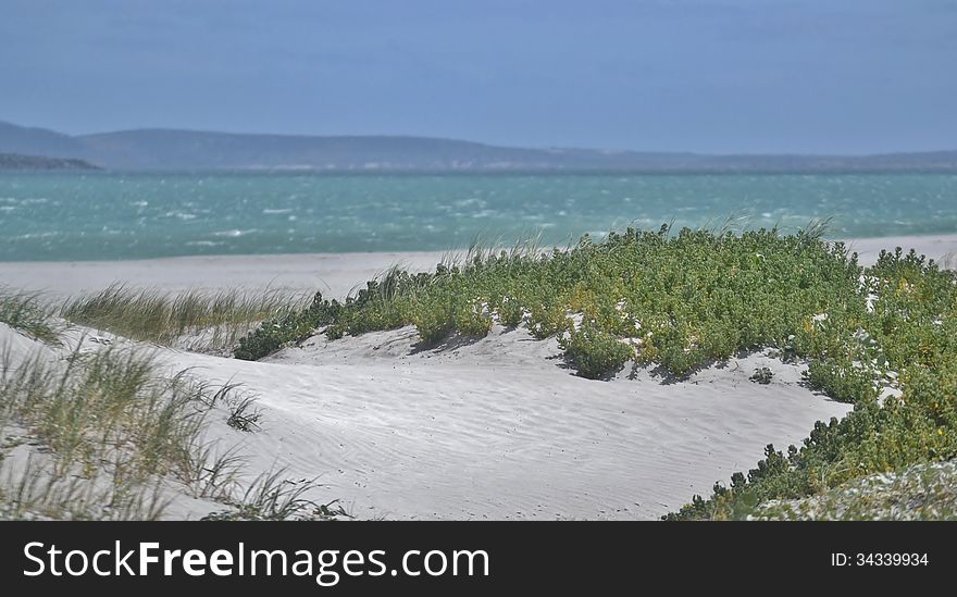 Landscape with Langebaan Lagoon and sand dunes