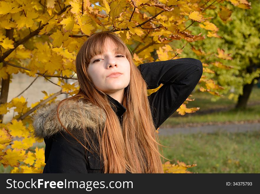 Beautiful young girl with red hair, against the backdrop of golden autumn. Beautiful young girl with red hair, against the backdrop of golden autumn
