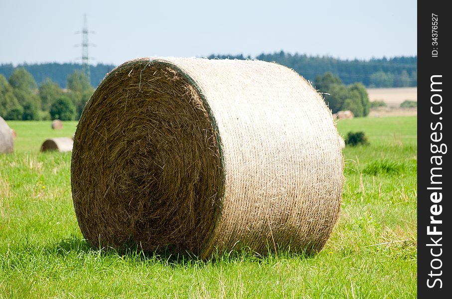 Straw bales in the field ready removal