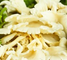 Fresh Mushrooms. Royalty Free Stock Photography Fresh Mushrooms. Royalty Free Stock Photography