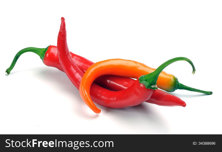 Red hot chili pepper on a white background