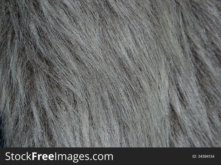 Fur Texture