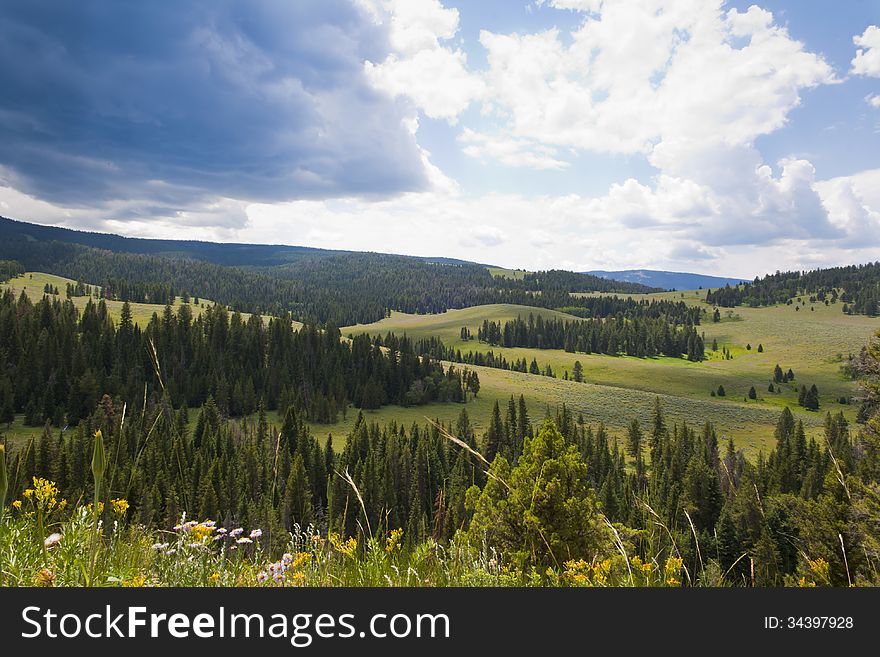 Beautiful mountain meadow in Porcupine Creek Gallatin Canyon Montana