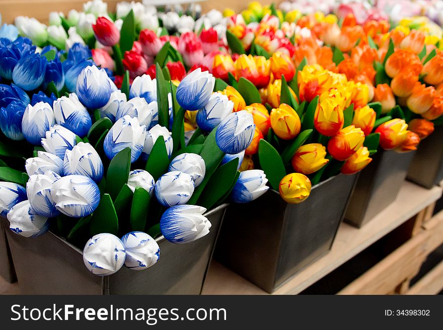 Composition of colorful tulip pots cob. Composition of colorful tulip pots cob