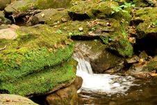 Mossy Waterfall Stock Images Mossy Waterfall Stock Images