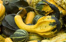 Gourds Stock Photos Gourds Stock Photos