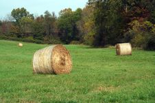 Hay Rolls In A Green Field Royalty Free Stock Image Hay Rolls In A Green Field Royalty Free Stock Image