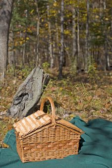 Free Picnic In The Woods Stock Image - 3447721