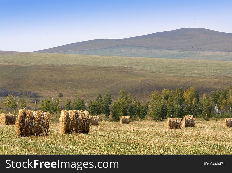 The hay bale in Inner Mongolia grassland in autumn season.