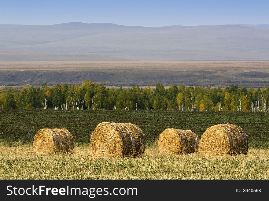 The hay bale in Inner Mongolia grassland in autumn season.