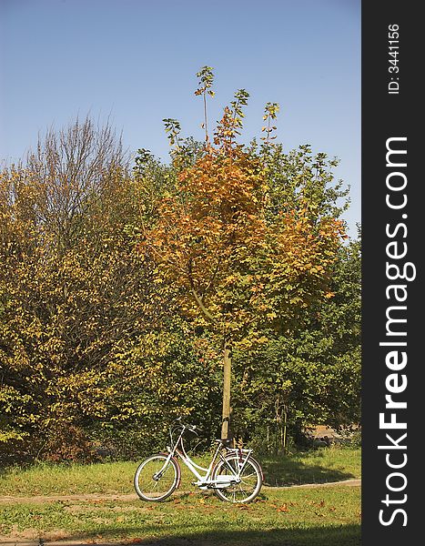 Bicycle parked on the edge of a Dutch park in autumn