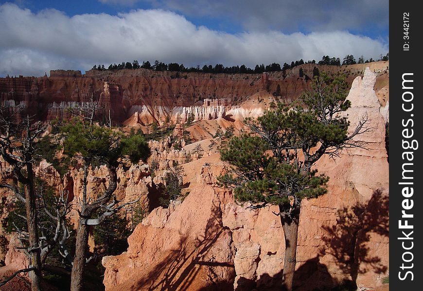 Bryce Amphitheater located in Bryce Canyon National Park.