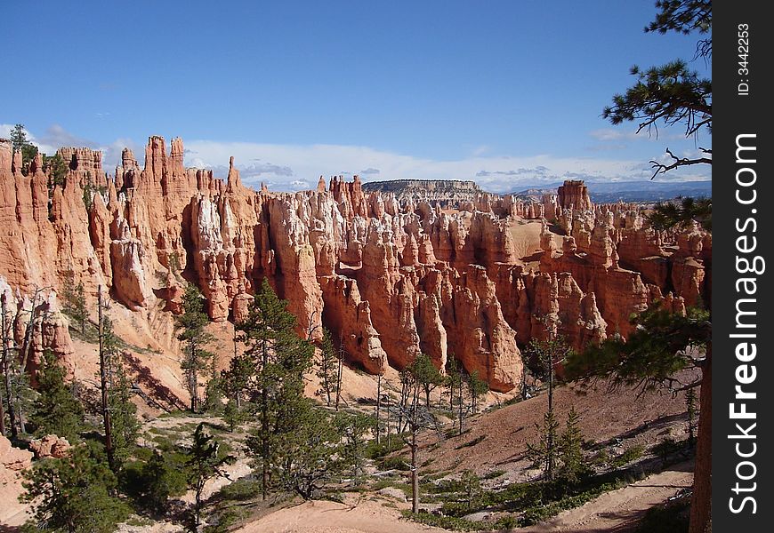 Hoodoos In Bryce Canyon